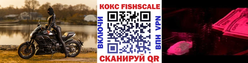 Купить закладки  Кирово-Чепецк  Cocaine FishScale 
