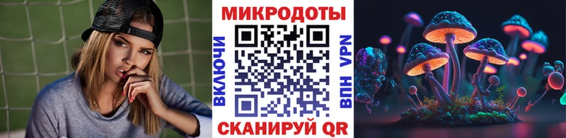 Купить  Кирово-Чепецк  Галлюциногенные грибы Magic Shrooms 
