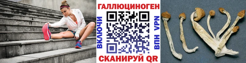 Псилоцибиновые грибы ЛСД Кирово-Чепецк